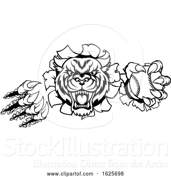 Vector Illustration of Tiger Holding Baseball Ball Breaking Background