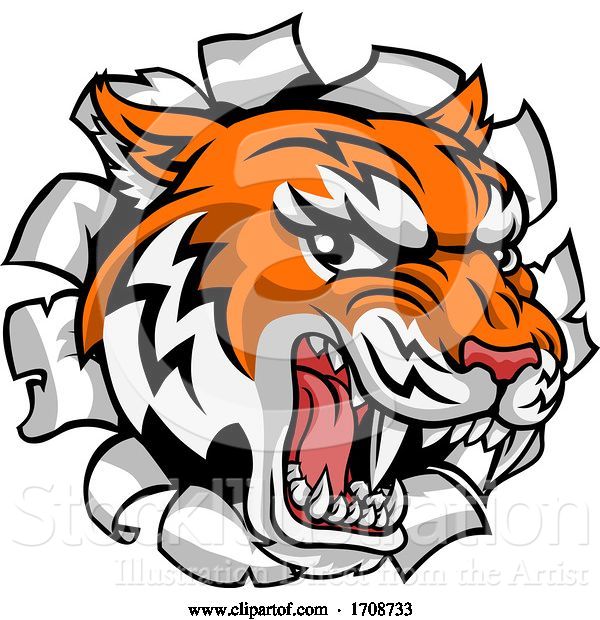 Vector Illustration of Tiger Mascot Head Breaking Through a Wall
