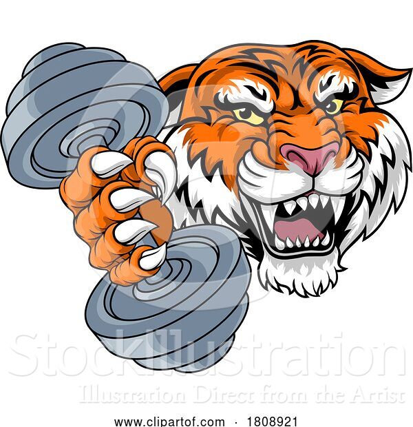Vector Illustration of Tiger Weight Lifting Dumbbell Gym Animal Mascot