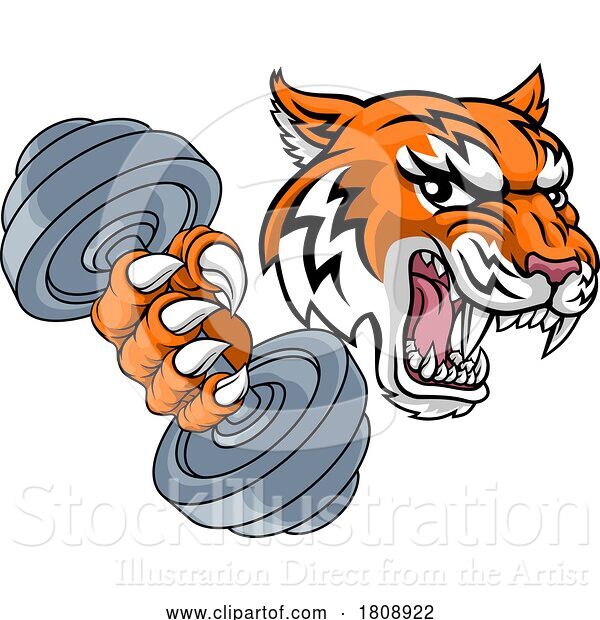 Vector Illustration of Tiger Weight Lifting Dumbbell Gym Animal Mascot