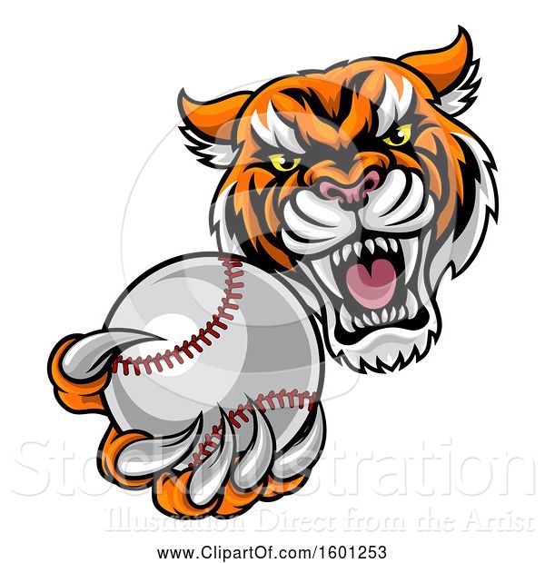 Vector Illustration of Vicious Tiger Sports Mascot Grabbing a Baseball