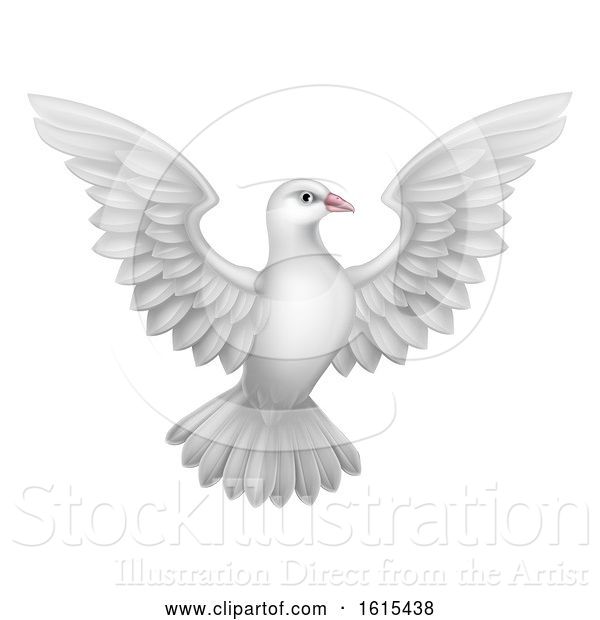 Vector Illustration of White Dove Concept