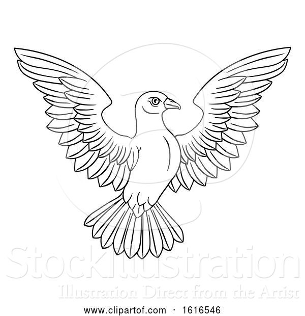 Vector Illustration of White Dove Concept