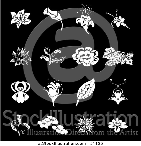 Vector Illustration of White Rose, Grapes, Dogwood and Iris Flower Icons over a Black Background