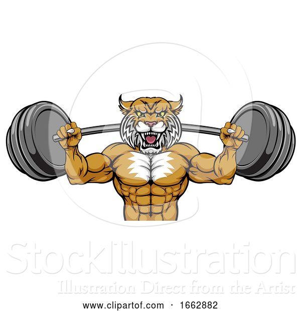 Vector Illustration of Wildcat Mascot Weight Lifting Body Builder