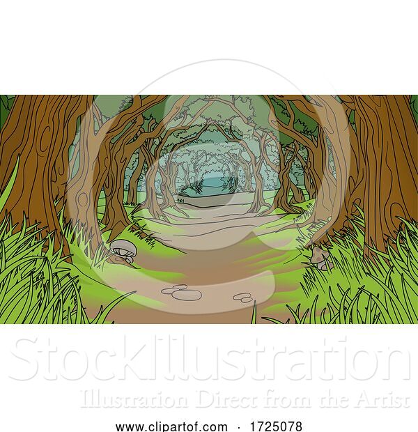 Vector Illustration of Woodland Forest Background Trees Landscape Scene