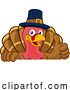 Illustration of Cartoon Turkey Pilgrim Hat Thanksgiving Character by AtStockIllustration