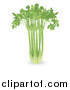 Vector Illustration of a 3d Bunch of Celery by AtStockIllustration