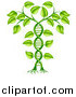 Vector Illustration of a 3d Green DNA Crop Gene Modification Helix Plant by AtStockIllustration