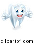 Vector Illustration of a 3d Happy White Tooth Character Giving Two Thumbs up by AtStockIllustration