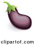 Vector Illustration of a 3d Purple Aubergine Eggplant by AtStockIllustration