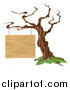 Vector Illustration of a Bare Tree with a Wooden Sign Suspended from a Branch by AtStockIllustration