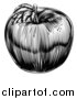 Vector Illustration of a Black and White Vintage Woodcut Apple by AtStockIllustration