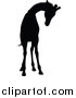 Vector Illustration of a Black Silhouetted Giraffe by AtStockIllustration