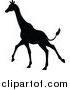 Vector Illustration of a Black Silhouetted Giraffe Running by AtStockIllustration