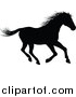 Vector Illustration of a Black Silhouetted Horse Running by AtStockIllustration