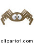 Vector Illustration of a Brown Spider by AtStockIllustration