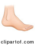 Vector Illustration of a Cartoon Caucasian Human Foot by AtStockIllustration