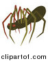 Vector Illustration of a Creepy Brown Spider by AtStockIllustration