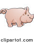 Vector Illustration of a Cute Big Pink Pig with a Curly Tail in Profile by AtStockIllustration