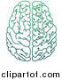 Vector Illustration of a Gradient Green Half Human, Half Artificial Intelligence Circuit Board Brain by AtStockIllustration