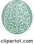 Vector Illustration of a Half Human, Half Artificial Intelligence Circuit Board Brain in a Green Oval by AtStockIllustration