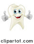 Vector Illustration of a Happy Tooth Mascot Holding Two Thumbs up by AtStockIllustration