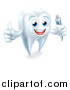 Vector Illustration of a Happy White Tooth Character Holding a Tube of Toothpaste and Giving a Thumb up by AtStockIllustration