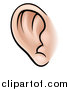 Vector Illustration of a Human Ear by AtStockIllustration