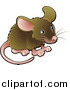 Vector Illustration of a Little Brown Pet Mouse with a Pink Nose, Ears, Feet and Tail by AtStockIllustration