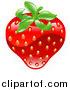 Vector Illustration of a Shiny Organic Strawberry by AtStockIllustration