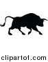 Vector Illustration of a Silhouetted Black Bull Charging by AtStockIllustration