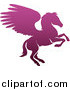 Vector Illustration of a Silhouetted Gradient Purple Rearing Pegasus Winged Horse by AtStockIllustration