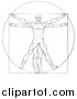 Vector Illustration of a Sketch of Leonard Da Vincis Vitruvian Man by AtStockIllustration