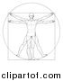 Vector Illustration of a Sketched Vitruvian Man by AtStockIllustration