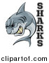 Vector Illustration of a Vicious Shark Mascot Attacking with Text by AtStockIllustration