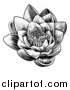 Vector Illustration of a Vintage Black and White Engraved or Woodcut Blooming Waterlily Lotus Flower by AtStockIllustration