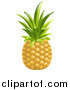 Vector Illustration of a Whole Organic Pineapple by AtStockIllustration