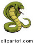 Vector Illustration of an Aggressive Green Cobra Snake Ready to Strike by AtStockIllustration