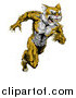 Vector Illustration of an Aggressive Muscular Wildcat Man Sprinting by AtStockIllustration