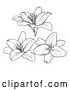 Vector Illustration of Black and White Lily Flowers by AtStockIllustration