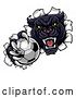 Vector Illustration of Black Panther Mascot Breaking Through a Wall with a Soccer Ball by AtStockIllustration