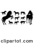 Vector Illustration of Black Silhouetted Horses by AtStockIllustration