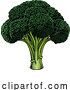 Vector Illustration of Broccoli Vegetable Vintage Woodcut Illustration by AtStockIllustration