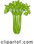Vector Illustration of Celery Vegetable Illustration by AtStockIllustration