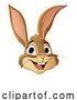 Vector Illustration of Easter Bunny Rabbit Fun Animal Character by AtStockIllustration