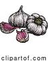 Vector Illustration of Garlic by AtStockIllustration