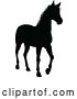 Vector Illustration of Horse Animal Silhouette by AtStockIllustration