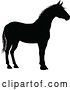 Vector Illustration of Horse Animal Silhouette by AtStockIllustration