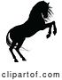 Vector Illustration of Horse Animal Silhouette by AtStockIllustration